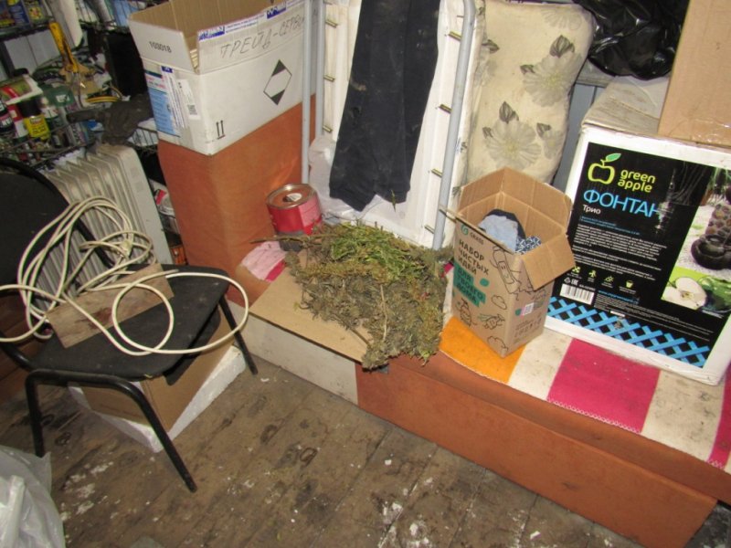 В Кочкуровском районе местный житель признан виновным в хранении более 180 граммов марихуаны